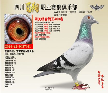 四川蜀翔四關(guān)鴿王403名
