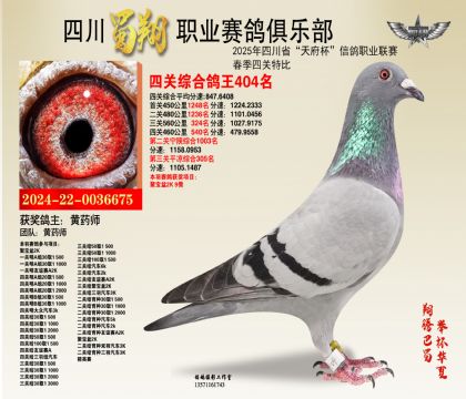 四川蜀翔四關(guān)鴿王404名