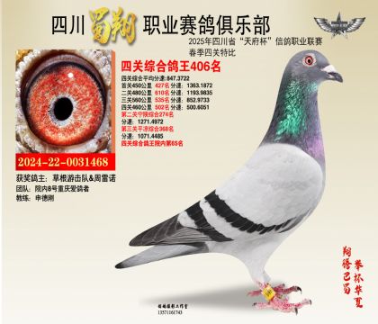 四川蜀翔四關(guān)鴿王406名
