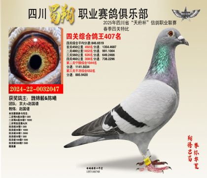 四川蜀翔四關(guān)鴿王407名
