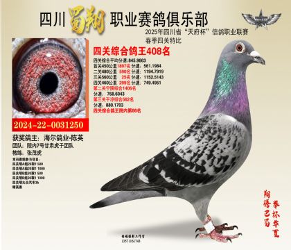 四川蜀翔四關(guān)鴿王408名