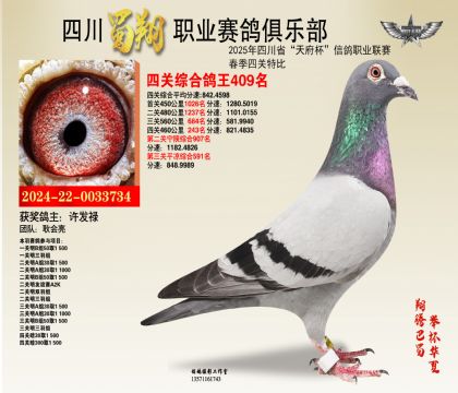 四川蜀翔四關(guān)鴿王409名