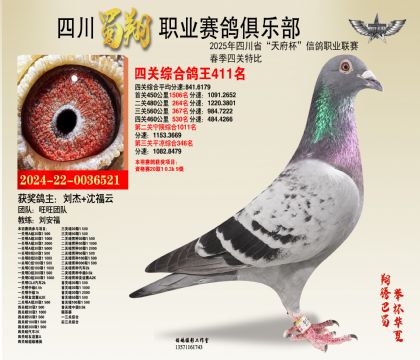 四川蜀翔四關(guān)鴿王411名