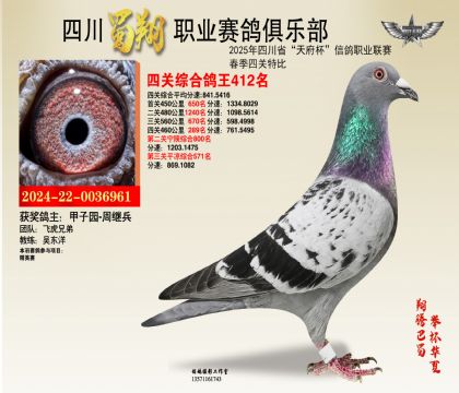 四川蜀翔四關(guān)鴿王412名