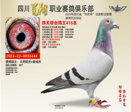 四川蜀翔四關(guān)鴿王415名