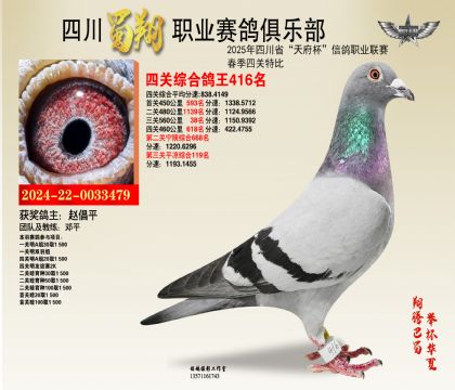 四川蜀翔四關(guān)鴿王416名