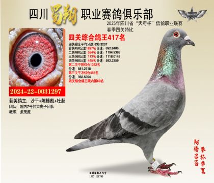 四川蜀翔四關(guān)鴿王417名