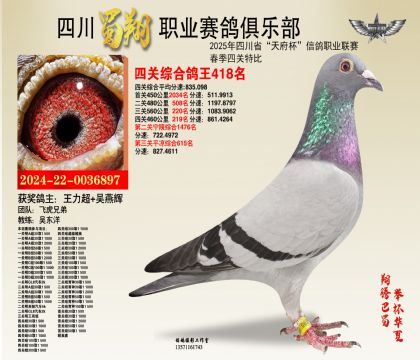 四川蜀翔四關(guān)鴿王418名