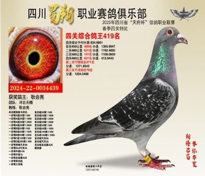 四川蜀翔四關(guān)鴿王419名