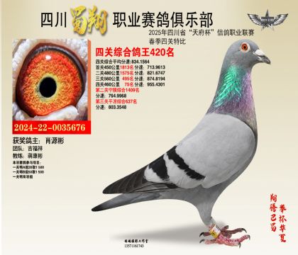 四川蜀翔四關(guān)鴿王420名