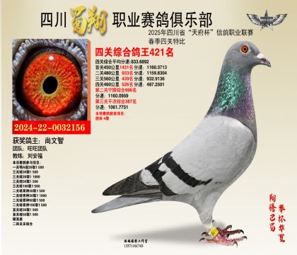 四川蜀翔四關(guān)鴿王421名