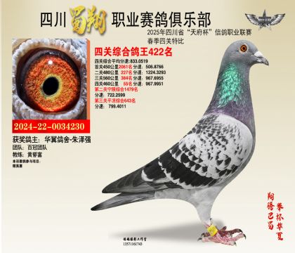 四川蜀翔四關(guān)鴿王422名