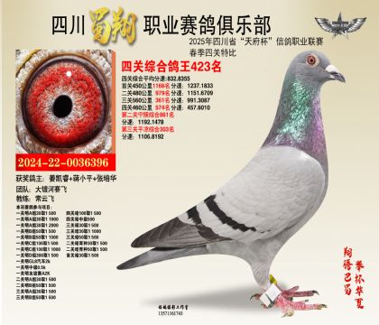 四川蜀翔四關(guān)鴿王423名