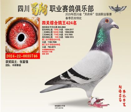 四川蜀翔四關(guān)鴿王424名