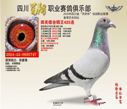 四川蜀翔四關(guān)鴿王425名