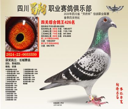 四川蜀翔四關(guān)鴿王426名