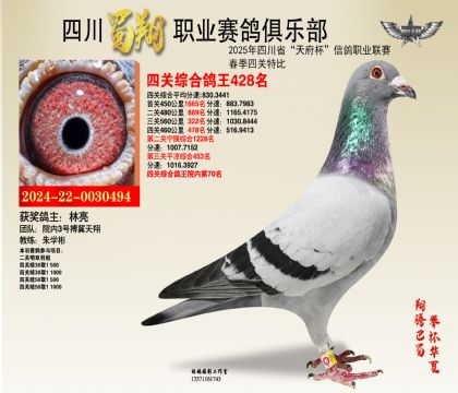 四川蜀翔四關(guān)鴿王428名