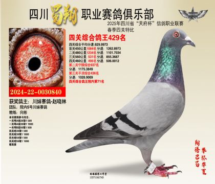 四川蜀翔四關(guān)鴿王429名