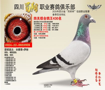 四川蜀翔四關(guān)鴿王430名