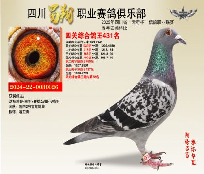 ĴP(gun)431