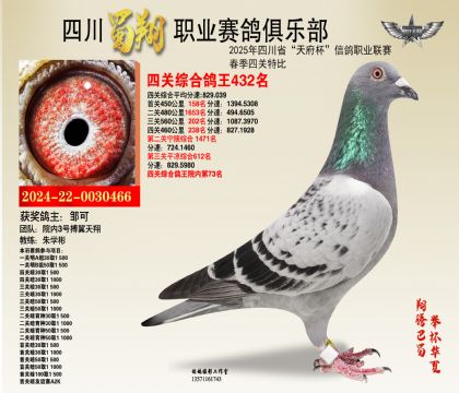 四川蜀翔四關鴿王432名