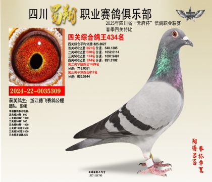 ĴP(gun)434