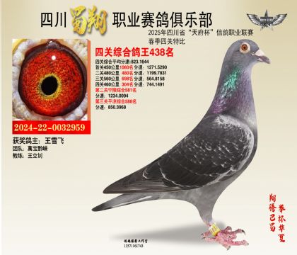 四川蜀翔四關(guān)鴿王438名