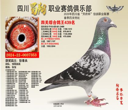 四川蜀翔四關(guān)鴿王439名
