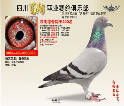 四川蜀翔四關(guān)鴿王440名