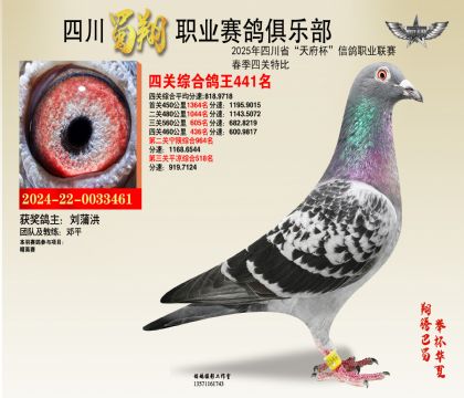 四川蜀翔四關鴿王441名