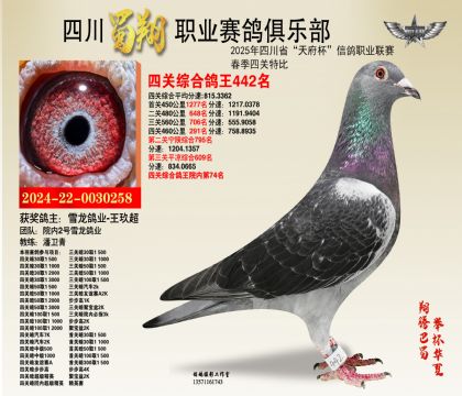 四川蜀翔四關(guān)鴿王442名