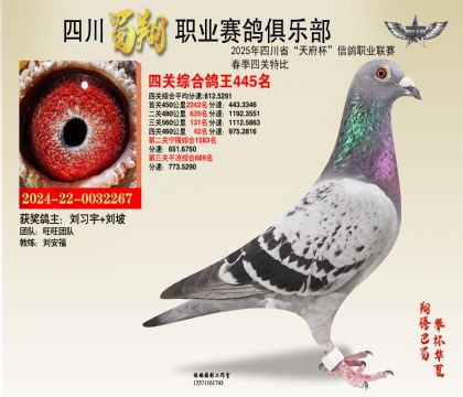 四川蜀翔四關(guān)鴿王445名