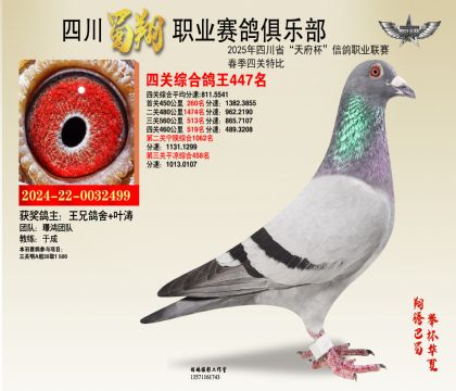 四川蜀翔四關(guān)鴿王447名