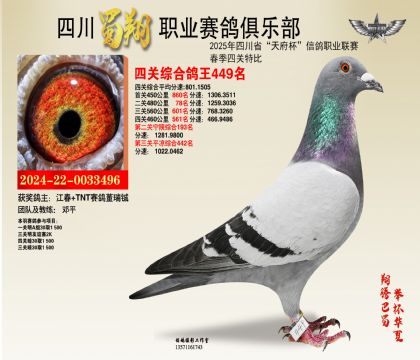 四川蜀翔四關(guān)鴿王449名