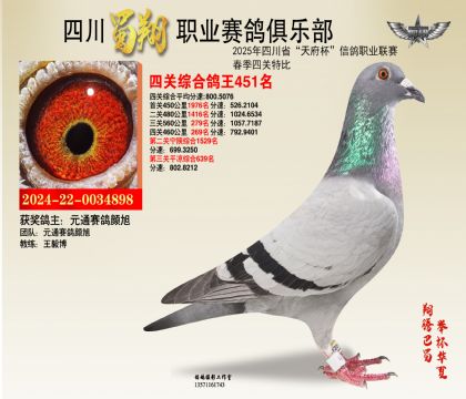 四川蜀翔四關(guān)鴿王451名