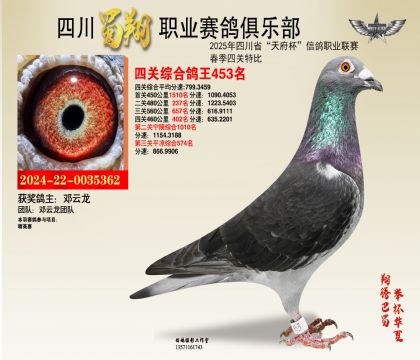 四川蜀翔四關(guān)鴿王453名