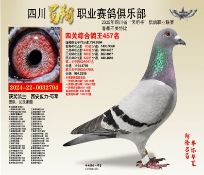 四川蜀翔四關(guān)鴿王457名