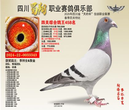 四川蜀翔四關(guān)鴿王458名