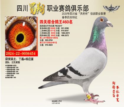 四川蜀翔四關(guān)鴿王460名