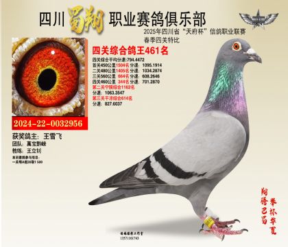 四川蜀翔四關(guān)鴿王461名
