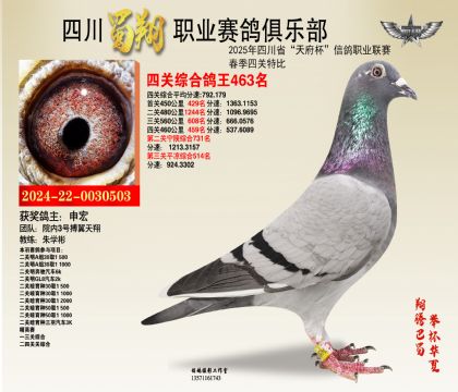 四川蜀翔四關(guān)鴿王463名