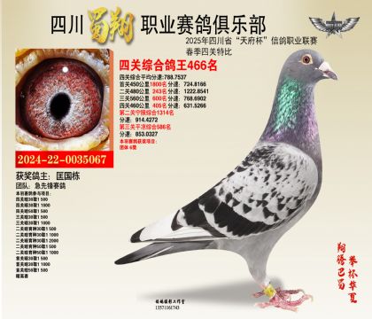 四川蜀翔四關(guān)鴿王466名