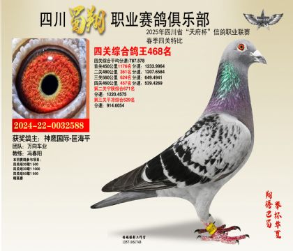 四川蜀翔四關(guān)鴿王468名
