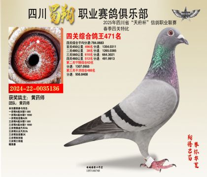 四川蜀翔四關(guān)鴿王471名