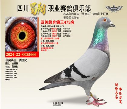 四川蜀翔四關(guān)鴿王473名