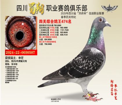 四川蜀翔四關(guān)鴿王474名