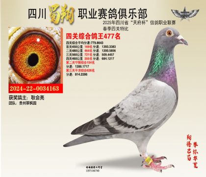 四川蜀翔四關(guān)鴿王477名