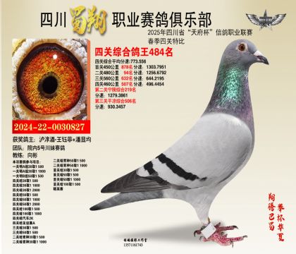 四川蜀翔四關(guān)鴿王484名