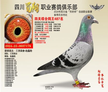 四川蜀翔四關(guān)鴿王487名