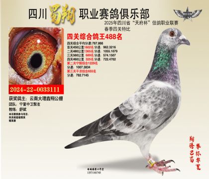 四川蜀翔四關(guān)鴿王488名
